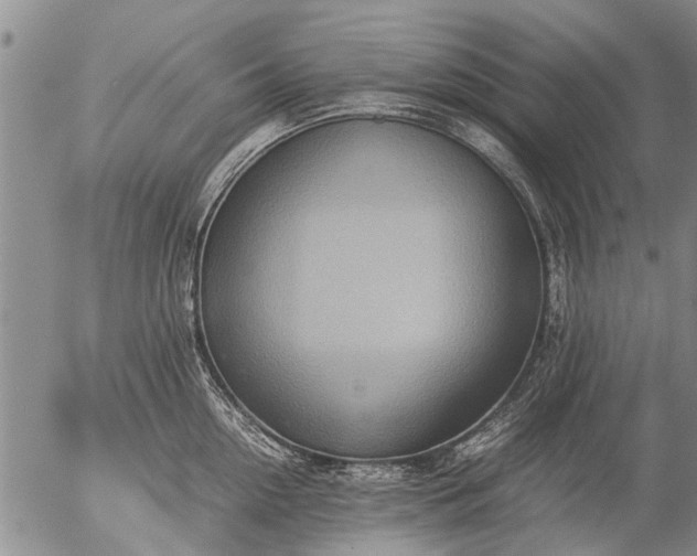 X0000057080954200509161601