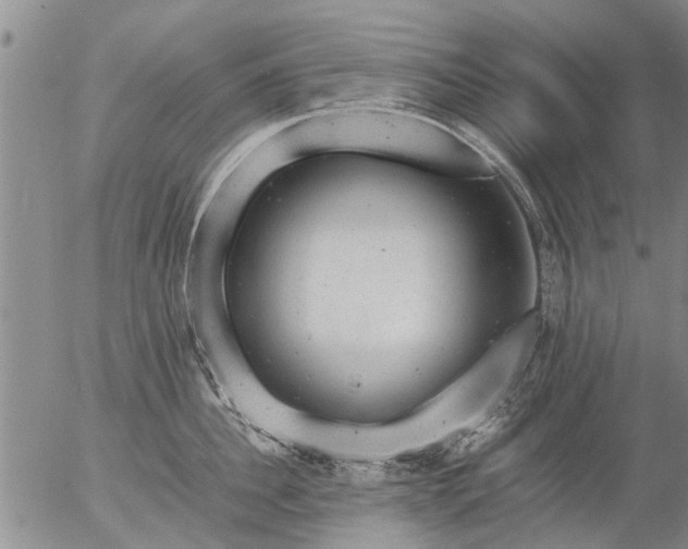 X0000057080956200509161601