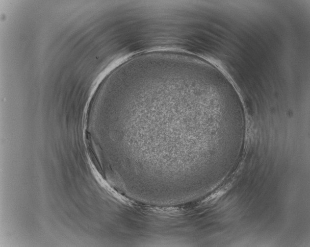 X0000057080957200509161601