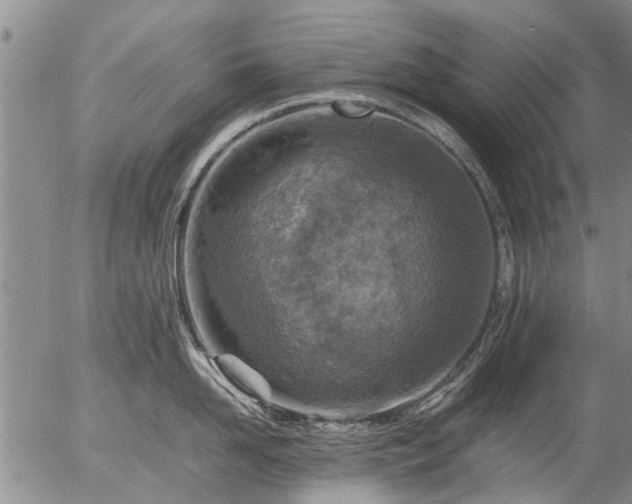 X0000057080958200509161601