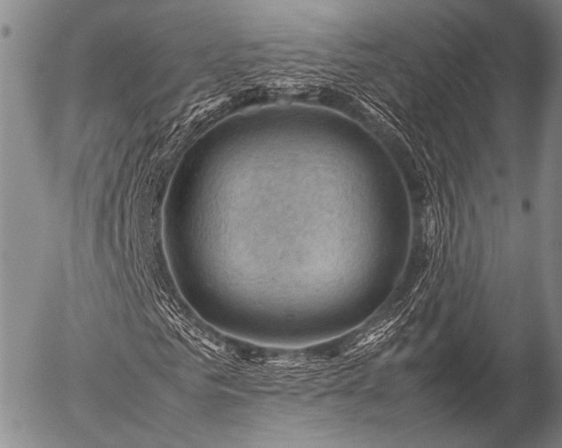 X0000057080961200509161600