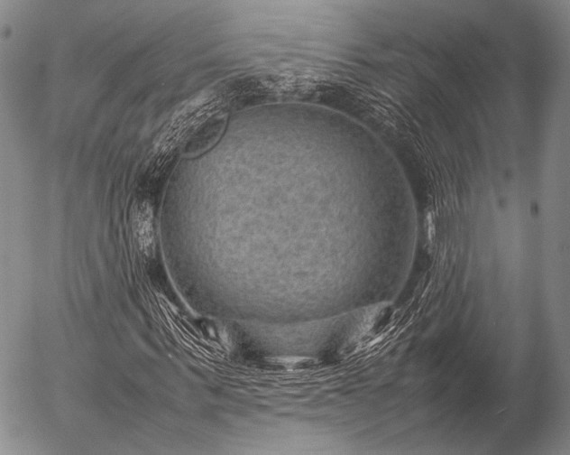 X0000057080963200509161600