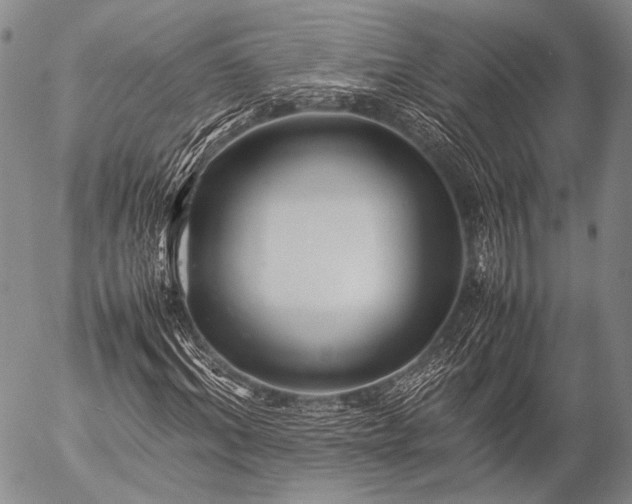 X0000057080964200509161600