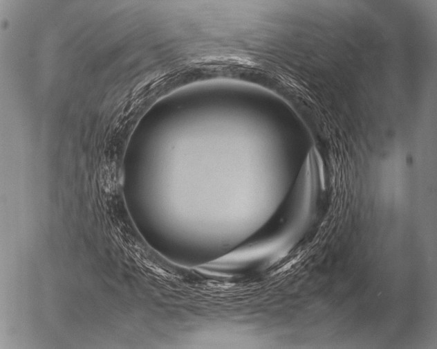 X0000057080965200509161600