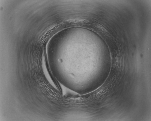 X0000057080966200509161600