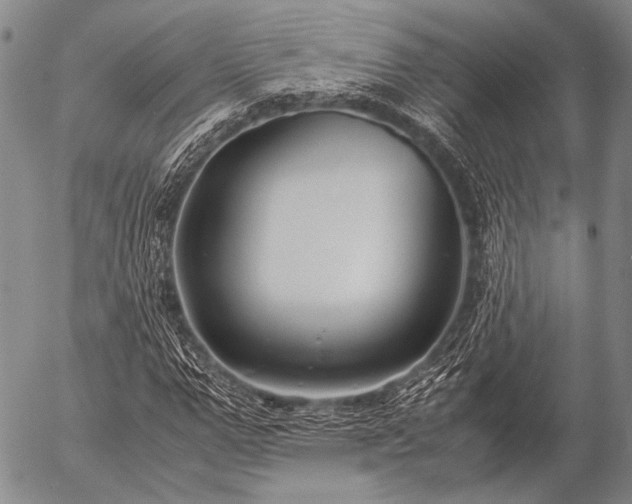 X0000057080967200509161600