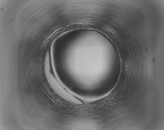 X0000057080968200509161600