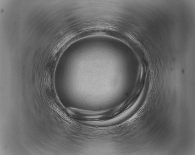 X0000057080969200509161600