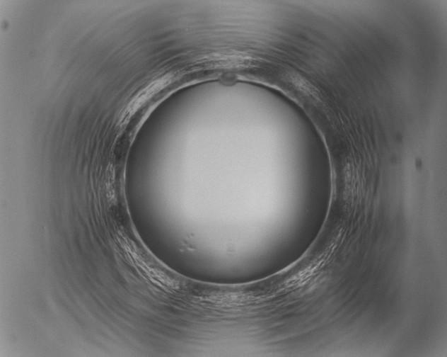 X0000057080970200509161600