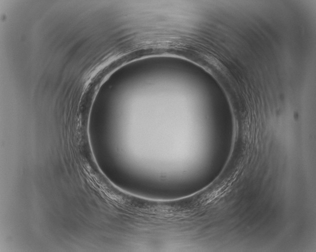 X0000057080971200509161600