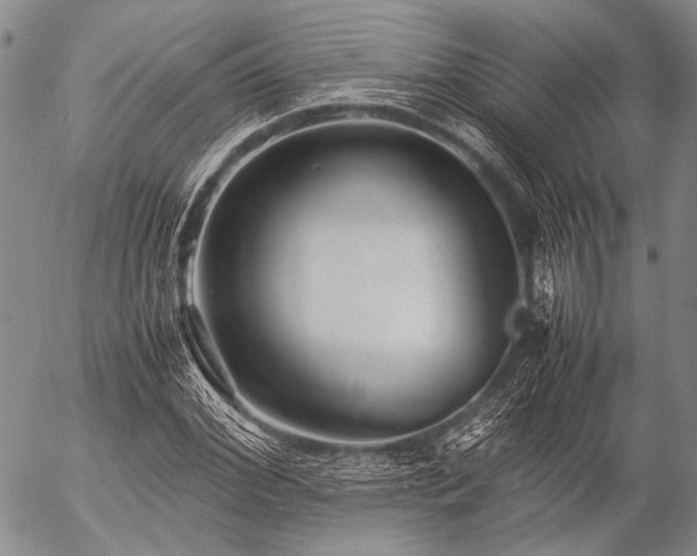 X0000057080972200509161600