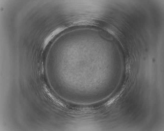 X0000057080973200509161600