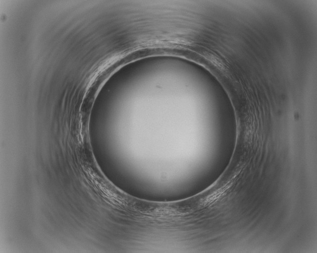 X0000057080974200509161600