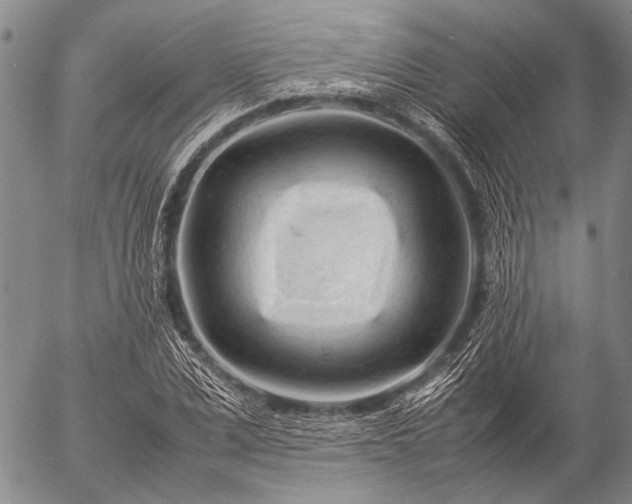 X0000057080975200509161600