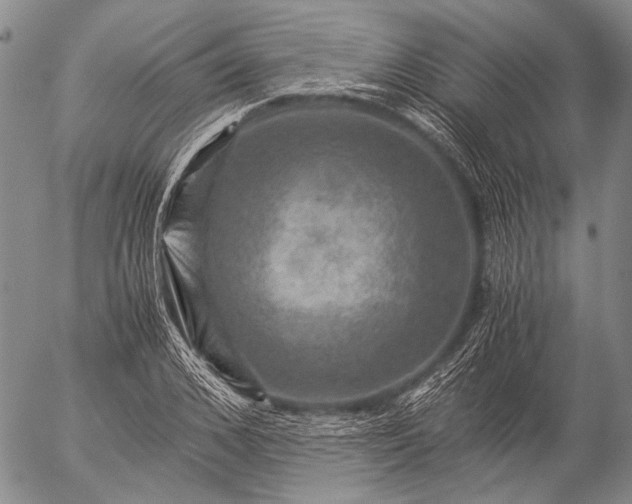 X0000057080976200509161600