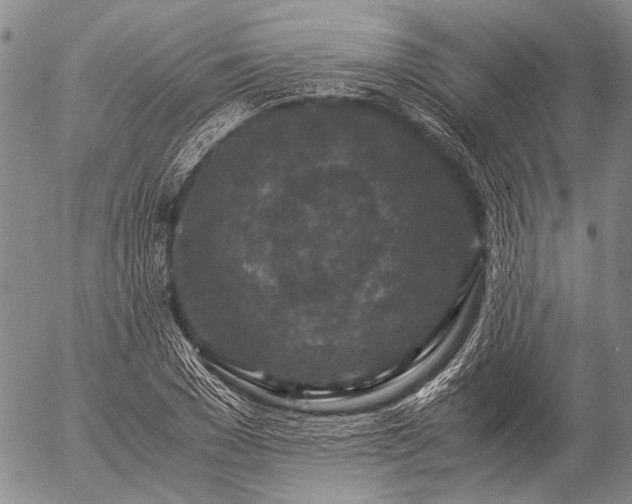 X0000057080977200509161600