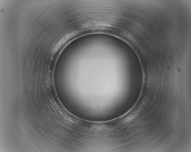 X0000057080978200509161600