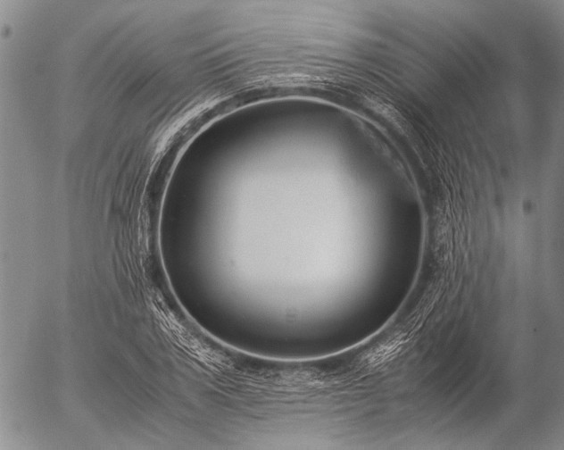 X0000057080979200509161600