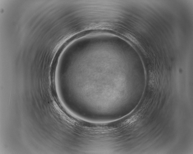 X0000057080980200509161600