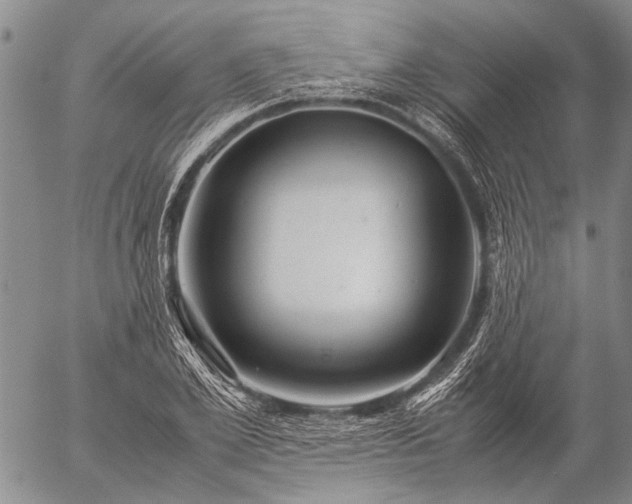 X0000057080981200509161600