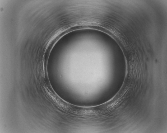 X0000057080982200509161600