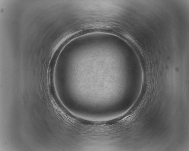 X0000057080983200509161559