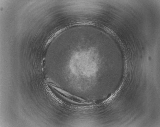 X0000057080985200509161559