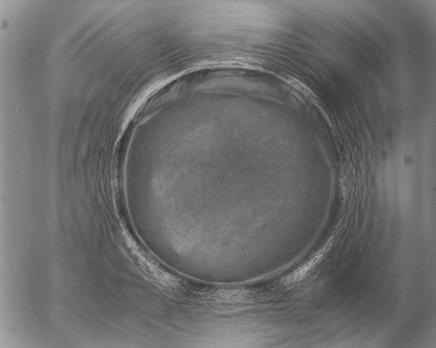 X0000057080989200509161559