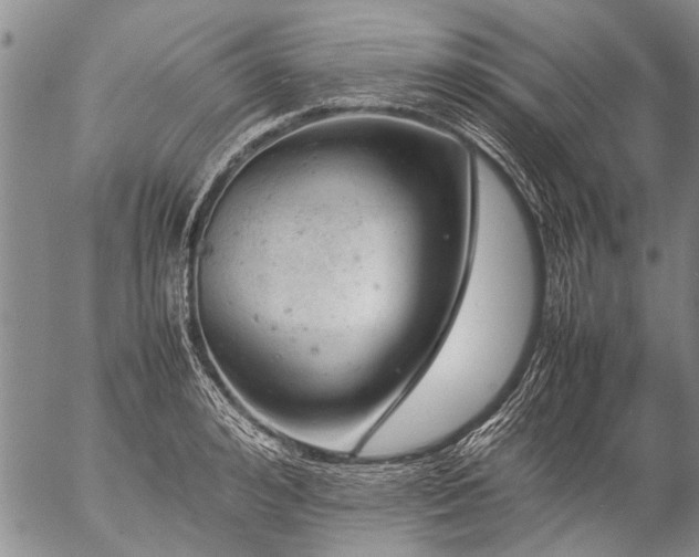 X0000057080992200509161559