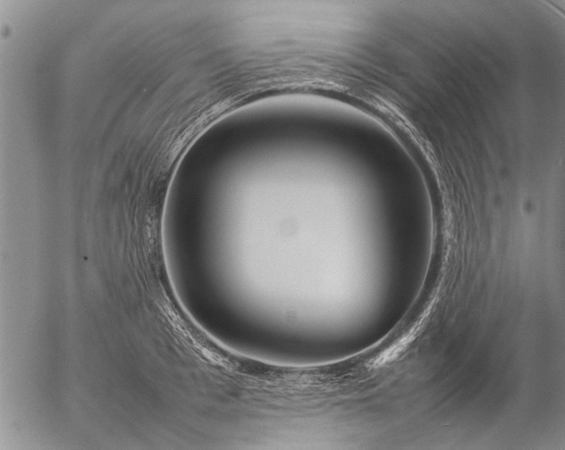 X0000057080993200509161559