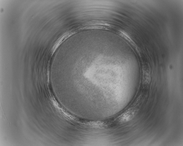 X0000057080994200509161559