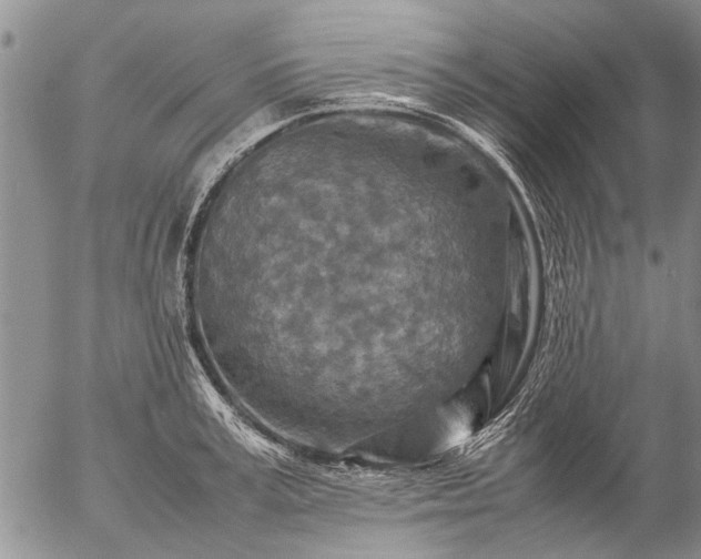 X0000057080995200509161559