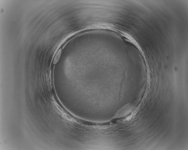 X0000057080996200509161559