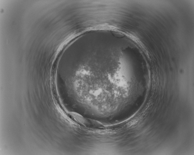 X0000057080998200509161559