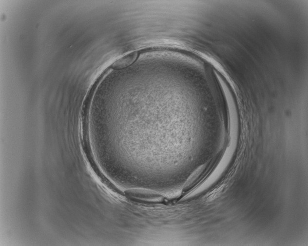 X0000057080999200509161559