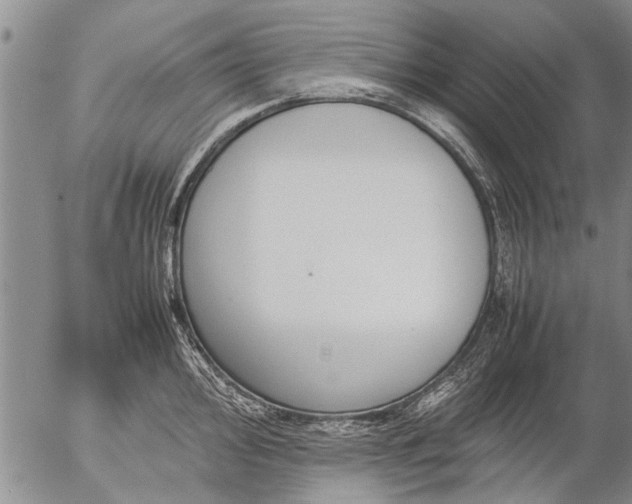 X0000057081000200509161559