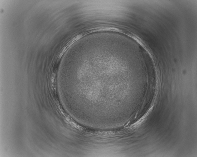 X0000057081001200509161559