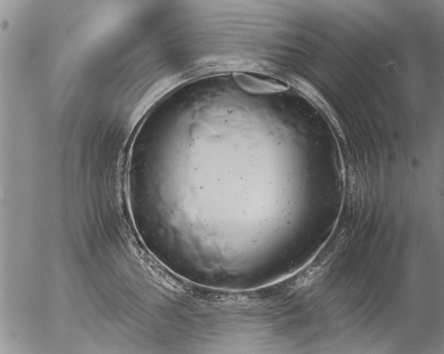 X0000057081002200509161559