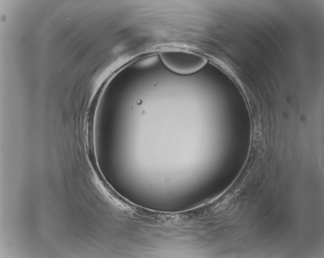 X0000057081003200509161559