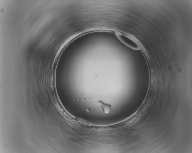 X0000057081004200509161559