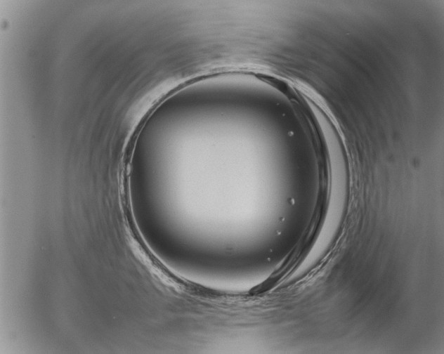 X0000057081005200509161559