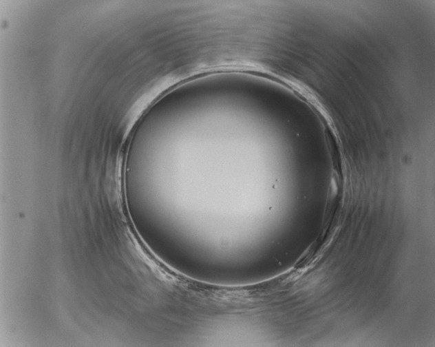 X0000057081006200509161559