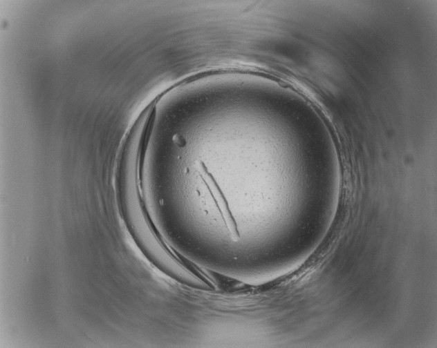 X0000057081007200509161559