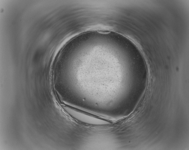 X0000057081008200509161559