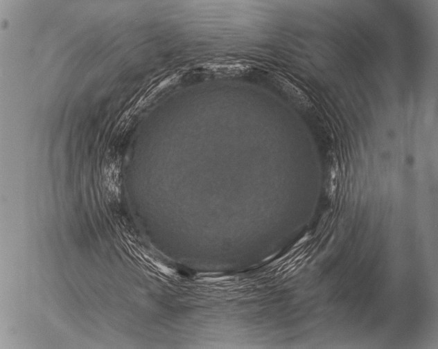 X0000057081010200509161558