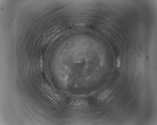 X0000057081011200509161558