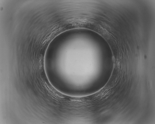 X0000057081012200509161558