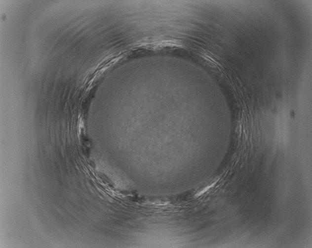 X0000057081014200509161558