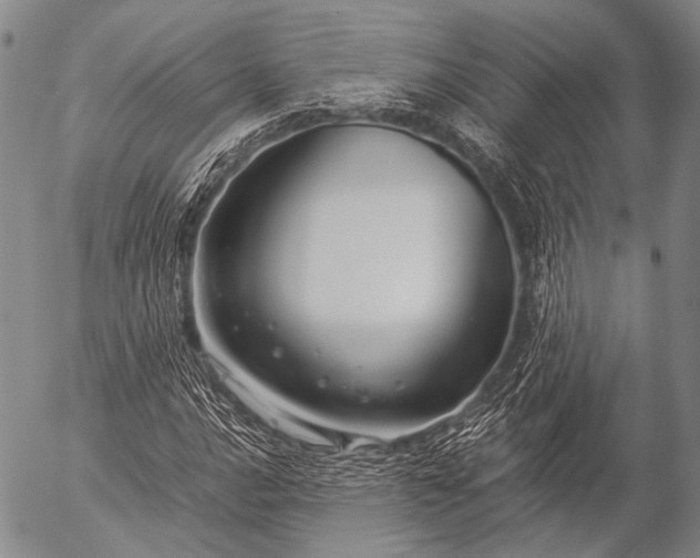 X0000057081016200509161558