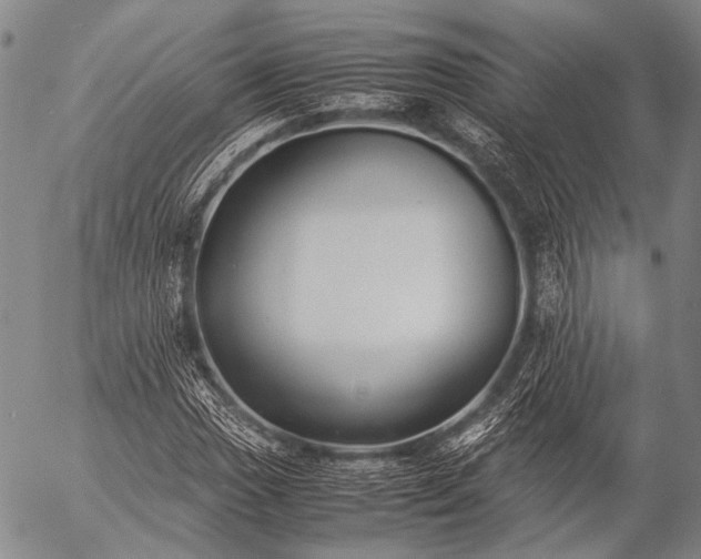 X0000057081017200509161558